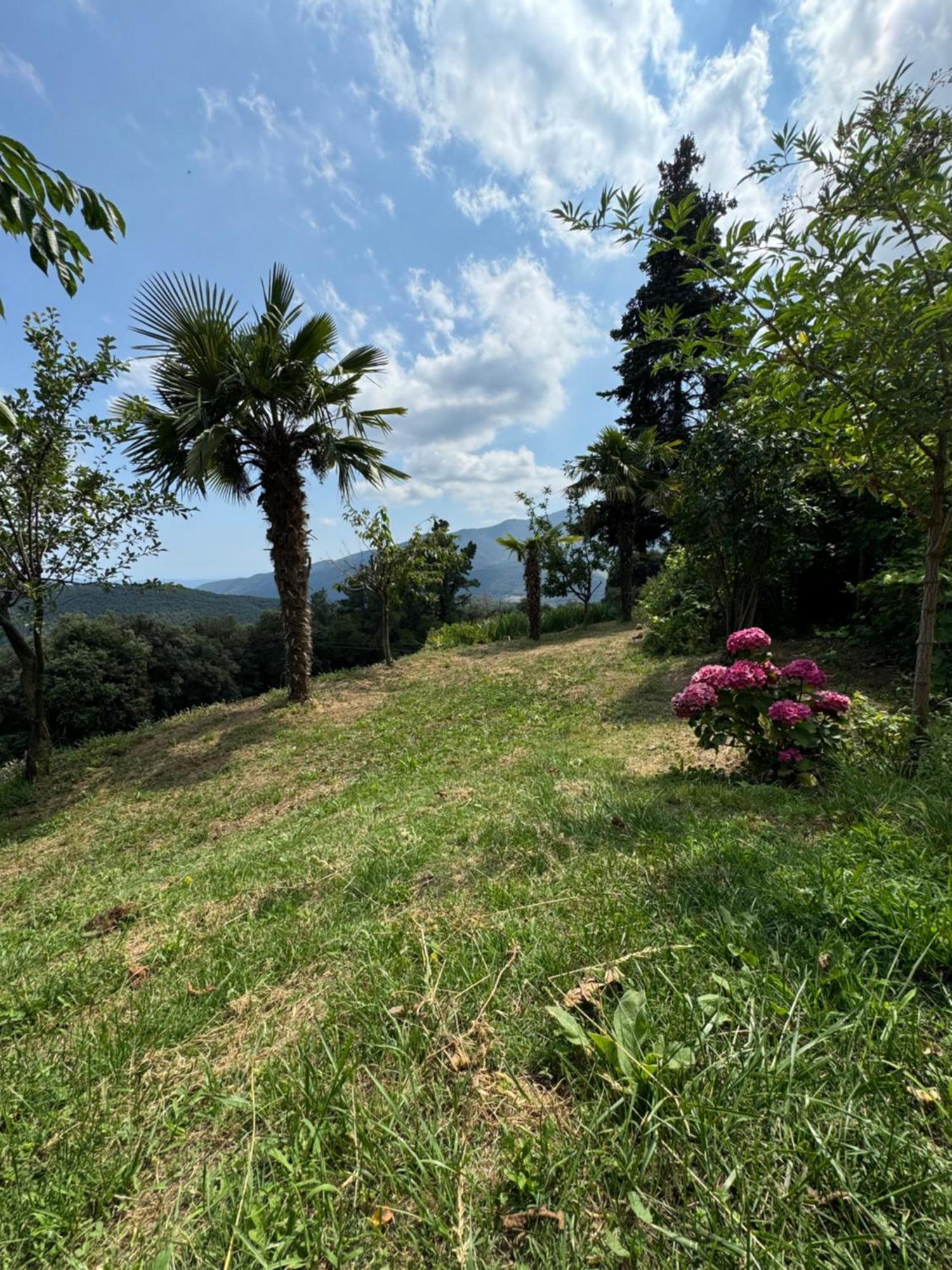 Casa Rural Cal Pages Montseny Exterior photo