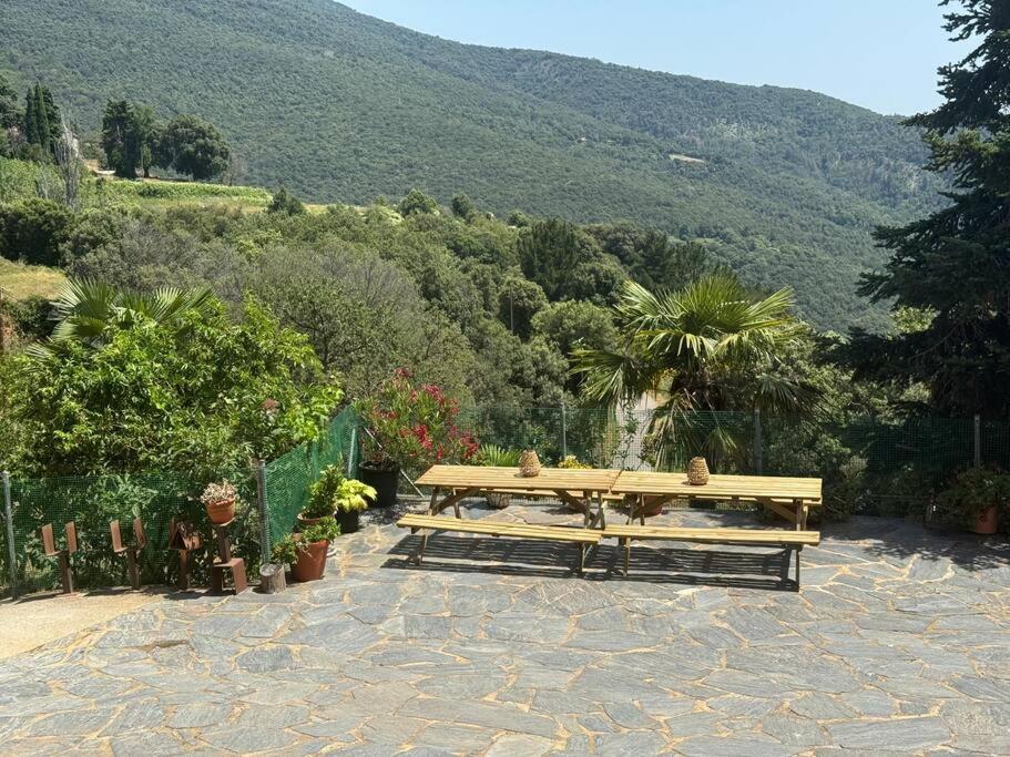 Casa Rural Cal Pages Montseny Exterior photo