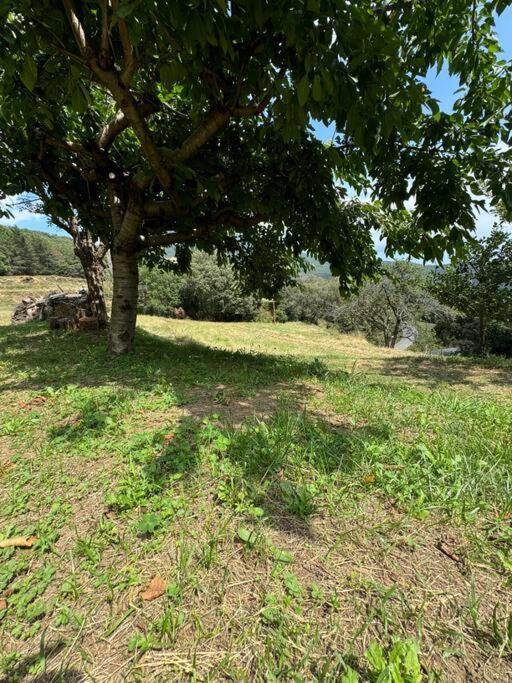 Casa Rural Cal Pages Montseny Exterior photo